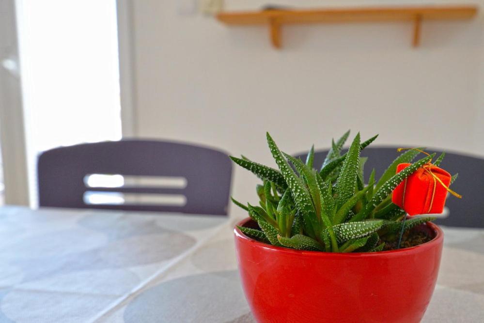 Apartments Viola Betina  Zewnętrze zdjęcie